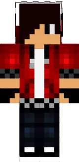 skin