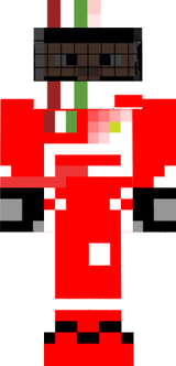 Salvotom08