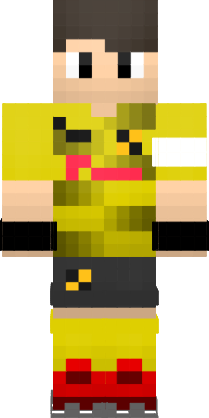 Preview of texture: BVB