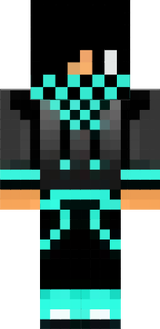 skin