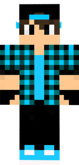 DENIS_PRO
