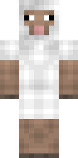 sheep