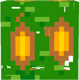 Lantern frouit