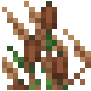 tail_cattail_in_reed_top