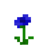 flower_rose
