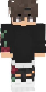 Meio Lobo