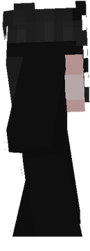 SKIN FIXA