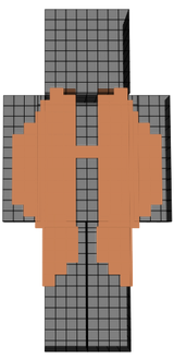 A falcon's wings.