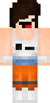 portal skin chell