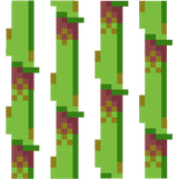 Sugar Cane