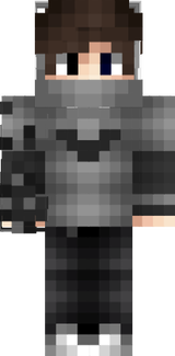 cem33