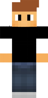 lfiorin00