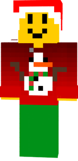 sacoPico