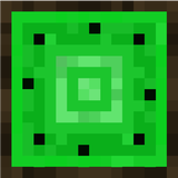 kiwiwoodtop