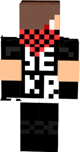 seekergame