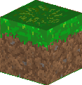 Preview of texture: 草ブロック