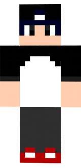 EndoSkin2017