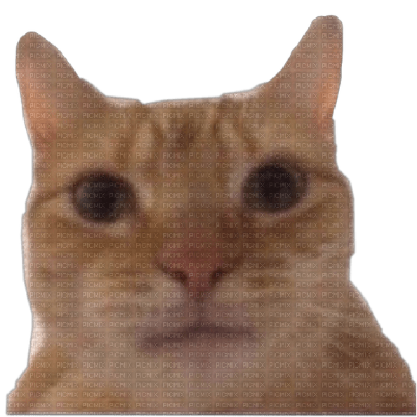 Preview of texture: Staring Cat meme