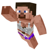 steve 