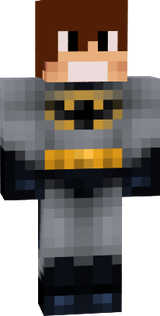 skin do batman