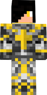 my paladin