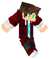 Skin doida