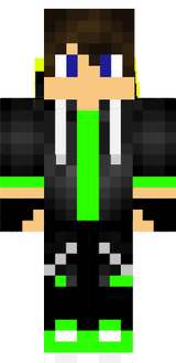 skin