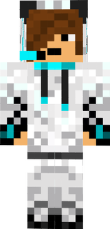 icyminecrafter