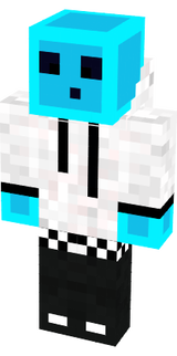 skin minecraft