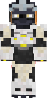ski9n minecraft correct 3