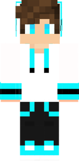 Skin01