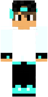 skin