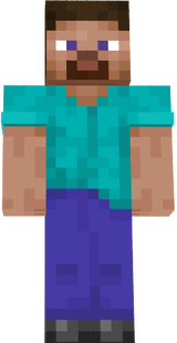 steve