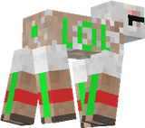 schaap