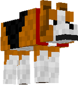 BEAGLE!!!! AWWW!!!!!!