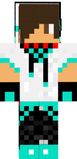 ViniciusGameer
