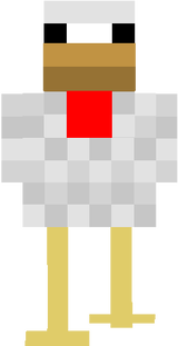 tavuk