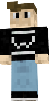 Skin for Wellesch