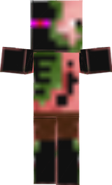 Ender Zombie Pigman