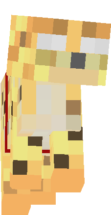 Preview of texture: cat herobrine