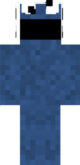 skinamettre