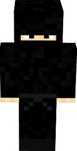 Ninja