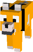 jake