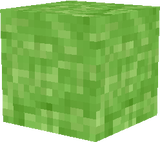 Grass With Old Texture