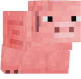 pig