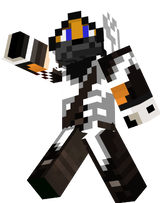 NinjaFox