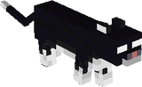cat 3