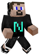 NanoVoxel