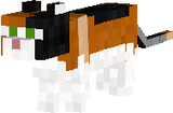 Calico Cat