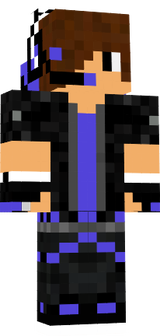 skin